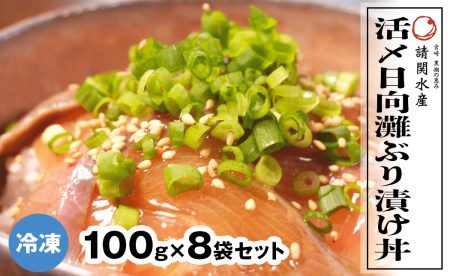 冷凍 活〆日向灘ぶり漬け丼 100g 8袋 53 宮崎県延岡市 ふるさと納税サイト ふるなび