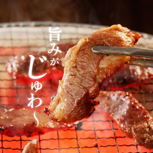 【宮崎産】豚ハラミ・サガリ タレ漬け 500g （3～5人前）　N061-A069