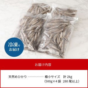 【訳あり】天然めひかり(極小サイズ)500g×4袋 N124-YZA0397