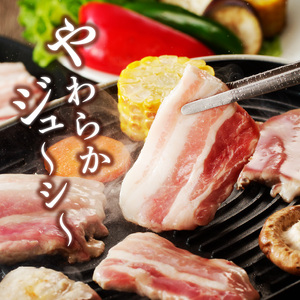 宮崎ブランドポーク 豚バラ 焼肉 1kg　N061-ZA142
