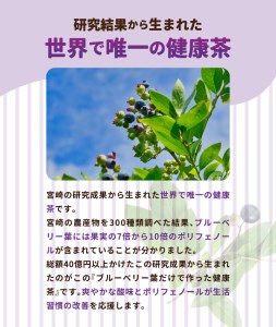 宮崎県産 ブルーベリー葉 だけで作った 健康茶 ポリフェノール N048-YZA095