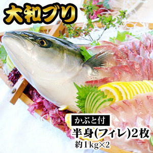 【大和ブリ】半身(ﾌｨﾚ)約1kg×2枚かぶと付き N072-YD0190