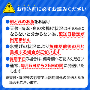 【6ヶ月定期便】大和のこだわり漁師のお刺身4人前 N072-YD0189_1