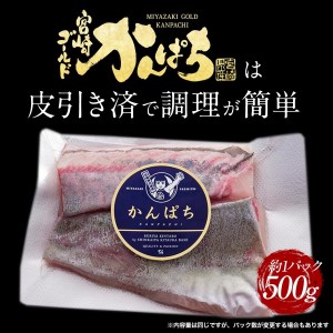 宮崎産 新海屋 鰤屋金太郎 宮崎ゴールドカンパチ 500g　冷蔵　N018-ZA463_1