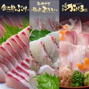 鰤屋金太郎【冷蔵】ぶりたいかんぱちスキンレスロイン各種300g N018-YB349-1