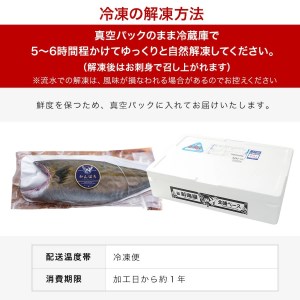 宮崎産 新海屋 鰤屋金太郎 宮崎ゴールドカンパチ フィレ 1.1kg～1.3kg