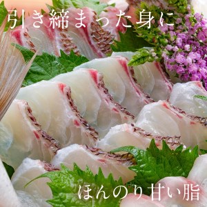 【冷蔵】たいセミドレス N018-YA5524