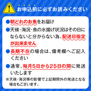 【6ヶ月定期便】大和の高級お刺身4人前 N072-YE081_2