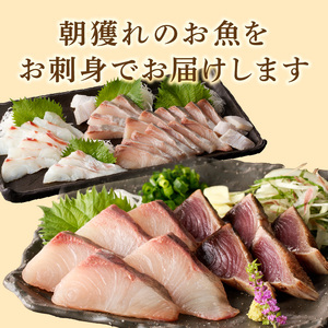 【単月お届け】大和の高級お刺身6人前 N072-YA4412_1