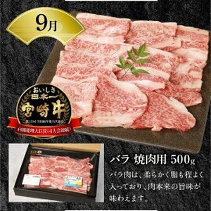 【12ヶ月定期便】宮崎牛食べ比べ N0147-YH068