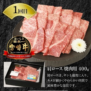 【6ヶ月定期便】宮崎牛と宮崎県産豚食べ比べ N0147-YG0248