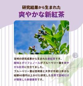 Beau tea Days ブルーベリー葉 紅茶 N048-YZA096