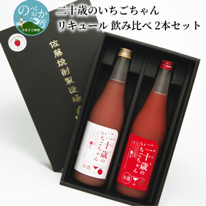 二十歳のいちごちゃんリキュール飲み比べ2本セット N085-YZA727