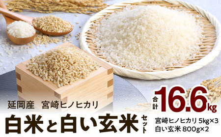 宮崎ヒノヒカリ 延岡産 白米と白い玄米セット 合計16.6kg　N0149-ZB807