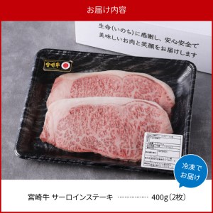 宮崎牛 牛肉 サーロインステーキ 2枚 400g N0140-ZA655