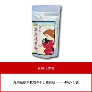 天然 うま味調味料 九州産 原木椎茸 粉 40g　N0155-A0190