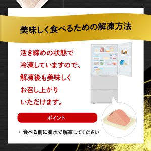高級大和ブリ･大和カンパチお造り計8人前 N072-YA667