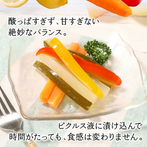 のべおか野菜ピクルス 1本箱入り N0143-A0233