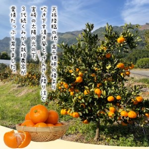 青島みかん 5kg N0132-YA4436