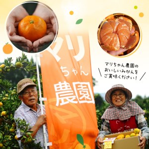 青島みかん 5kg N0132-YA4436