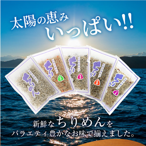 宮崎ちりめん5種類 食べ比べセット(ちりめん・さけ・しそわかめ・昆布・うめ) 工場直売 ふりかけ おにぎりN065-YA0492