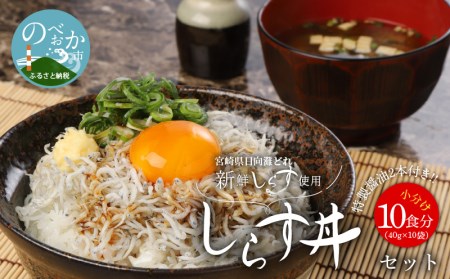 宮崎産しらす丼セット小分け10食分400g老舗醸造所特製醤油付き N065-YA175