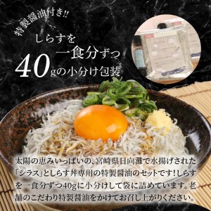 宮崎産しらす丼セット小分け10食分400g老舗醸造所特製醤油付き N065-YA175