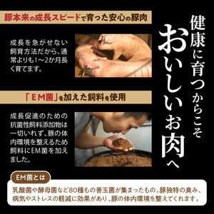 延岡よっとん 小間切れ 500g×4 計2kg N003-YB346