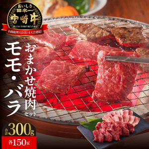 宮崎牛　おまかせ焼肉セット　N023-ZA304