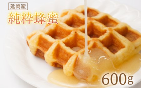 A104 純粋蜂蜜