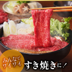 宮崎牛・モモスライス 肉質等級 4等級以上 脂肪の少ない 赤身 低カロリー 上質 牛 肉 牛肉 すき焼き 焼しゃぶ しゃぶしゃぶ 国産 冷凍 お取り寄せ お取り寄せグルメ 送料無料 N023-YZA405