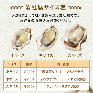 延岡産天然岩牡蠣（生食用）3kg（中）（2024年4月1日から発送開始）　N036-ZA526