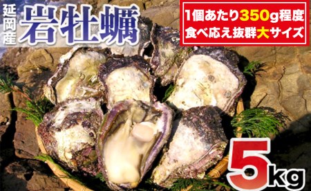 延岡産天然岩牡蠣（生食用）5kg（大）（2023年4月から発送開始）　B307