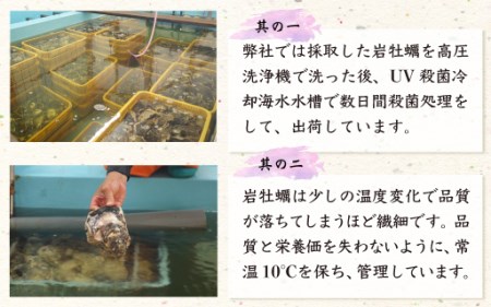 延岡産天然岩牡蠣（生食用）5kg（大）（2023年4月から発送開始）　B307