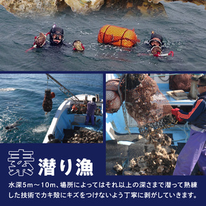 延岡産天然岩牡蠣（生食用）10kg（中）（2024年4月1日から発送開始）　N036-ZD026