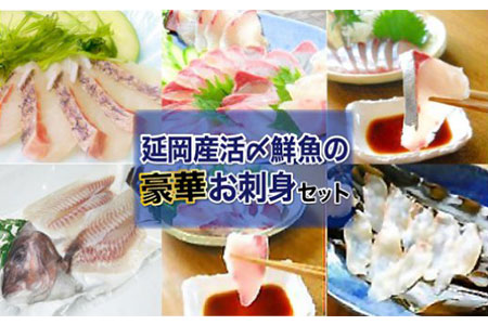 E016 【単月にまとめてお届け】延岡産活〆鮮魚のお刺身豪華セット