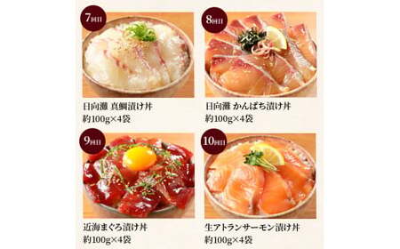 お魚の漬け丼バラエティ10回定期便 N019-YG0190