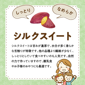 干し芋シルクスイート100g×8袋 N063-YZA483