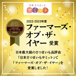 干し芋 紅はるか シルクスイート 100g 各4袋　N063-ZA484