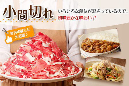 豚小間切れ 豚ミンチ セット 合計3kg 肉 豚 豚肉 国産 食品 おかず こま切れ 挽肉 宮崎県産 日南市産 送料無料_BC87-23