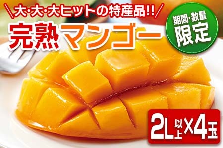 数量限定 日南市産 完熟 マンゴー 2L以上×4玉 フルーツ 果物 人気 国産 完熟マンゴー 食品 デザート 産地直送 送料無料_EA11-23