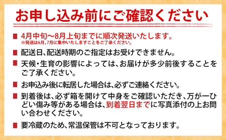 数量限定 日南市産 完熟 マンゴー 2L以上×9玉 フルーツ 果物 果汁 希少 濃厚 ジューシー 贅沢 上質 ご褒美 人気 国産 食品 おやつ デザート 産地直送 おすすめ ギフト プレゼント 贈り物 お土産 手土産 南国 宮崎県 送料無料_IB1-24