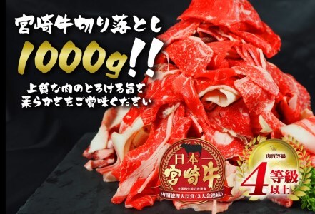 E20-191 安楽畜産宮崎牛切り落とし1000g