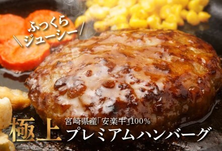 CA3-191 安楽畜産宮崎牛プレミアムハンバーグ10個セット