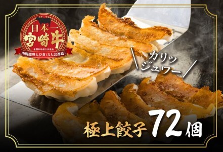 BD35-191 安楽畜産宮崎牛極上ギョーザ72個セット