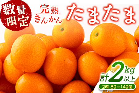 先行予約 数量限定 完熟きんかん たまたま 計2kg以上 (1kg×2箱) フルーツ 果物 くだもの 柑橘 金柑 国産 食品 期間限定 大粒 宮崎ブランド 希少 おすすめ デザート おやつ ギフト 贈り物 贈答 お返し お祝い おすそ分け 産地直送 日南市 送料無料_BC103-24