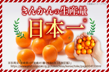 先行予約 数量限定 完熟きんかん たまたま 計2kg以上 (1kg×2箱) フルーツ 果物 くだもの 柑橘 金柑 国産 食品 期間限定 大粒 宮崎ブランド 希少 おすすめ デザート おやつ ギフト 贈り物 贈答 お返し お祝い おすそ分け 産地直送 日南市 送料無料_BC103-24