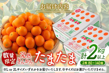 先行予約 数量限定 完熟きんかん たまたま 計2kg以上 (1kg×2箱) フルーツ 果物 くだもの 柑橘 金柑 国産 食品 期間限定 大粒 宮崎ブランド 希少 おすすめ デザート おやつ ギフト 贈り物 贈答 お返し お祝い おすそ分け 産地直送 日南市 送料無料_BC103-24