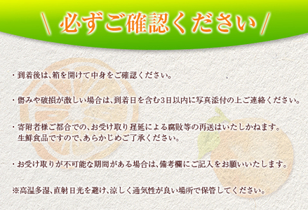 先行予約 数量限定 完熟きんかん たまたま 計3kg以上 (3kg×1箱) フルーツ 果物 くだもの 柑橘 金柑 国産 食品 期間限定 大粒 宮崎ブランド 希少 おすすめ デザート おやつ ギフト 贈り物 贈答 お返し お祝い おすそ分け 産地直送 日南市 送料無料_BC58-23