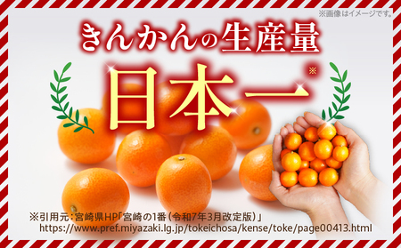 先行予約 完熟きんかん たまたま 計6kg以上 (3kg×2箱) 希少 期間限定 数量限定 フルーツ 果物 くだもの 柑橘 金柑 国産 食品 大粒 宮崎ブランド おすすめ デザート おやつ ギフト 贈り物 贈答 お返し お祝い おすそ分け 産地直送 日南市 送料無料_DC8-23